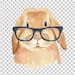 Buyer Avatar