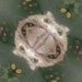 Jo McGraw avatar