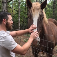 BackyardFarmerHomeCo