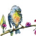 DaisyDayGifts avatar