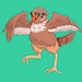 Buyer Avatar