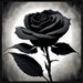 Shadowrose