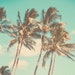 HoneyCoastPrintCo