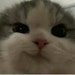 Buyer Avatar