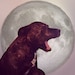 Buyer Avatar