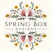 SpringBoxDesigns