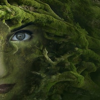 GreenWitchCupboard