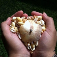 PonoShellCreations