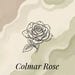 Colmar Rose