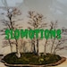 Slomotions