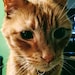 Nichole profile picture