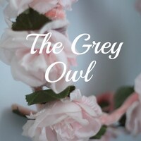 TheGreyOwl