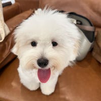 CrazyPawLoversClub