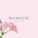 Blush Luxe Collective