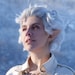 Buyer Avatar