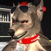 Buyer Avatar