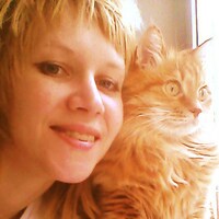 Woodandcat