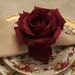 User photo