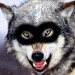 BadWolfMasquerade avatar