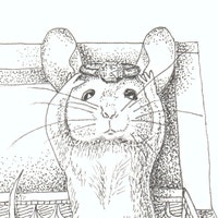 MousesHouseAntiques