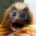 Amy Blandford avatar