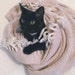 ArranBlackCatVintage