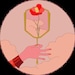 FlowerInTheMirror