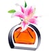 CouronneCoShop