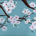 KBlossoms avatar