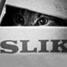 SlikArtDesignStudio