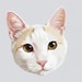 Buyer Avatar