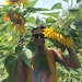 Jenny Spivak avatar