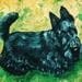 Buyer Avatar