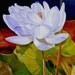 Owner of <a href='https://www.etsy.com/shop/tiandi999?ref=l2-about-shopname&from_page=listing' class='wt-text-link'>tiandi999</a>