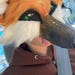 Fox Trot