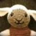 PawsButton avatar