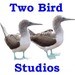 twobirdstudios