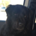 Sheri Price avatar