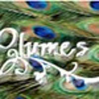 PamelasPlumes