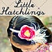 LittleHatchlings