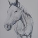 EquineArtPortraits