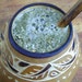 MyMateWorld