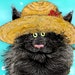 Buyer Avatar