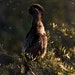 Mark Huber Photography