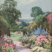 GardenOfCrinoline