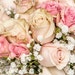 LoveYourPlanners