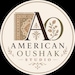 AMERICANOUSHAKSTUDIO