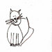 Sarah Worrall avatar