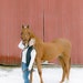 Buyer Avatar