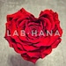 LAB HANA